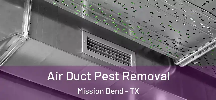  Air Duct Pest Removal Mission Bend - TX