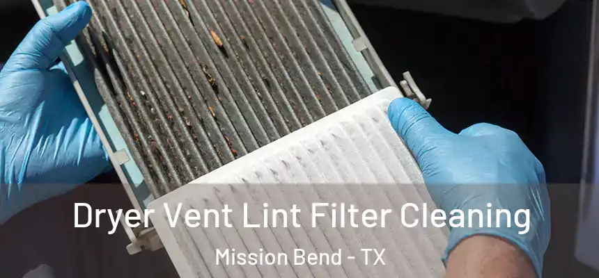  Dryer Vent Lint Filter Cleaning Mission Bend - TX