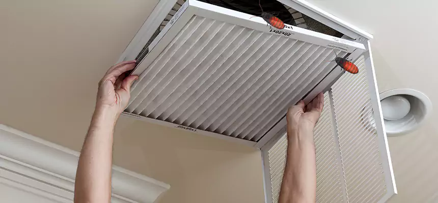 Preventive Cockroach-Proofing for Ducts in Mission Bend