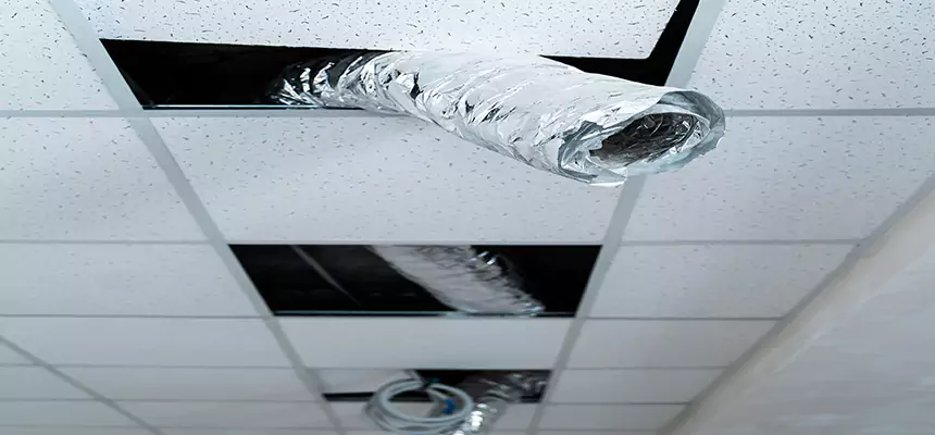 Affordable HVAC Sanitizing After Pest Removal in Mission Bend