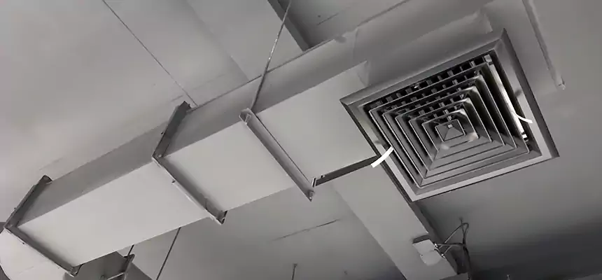 Our Pest Removal From Ducts Services in Mission Bend, TX