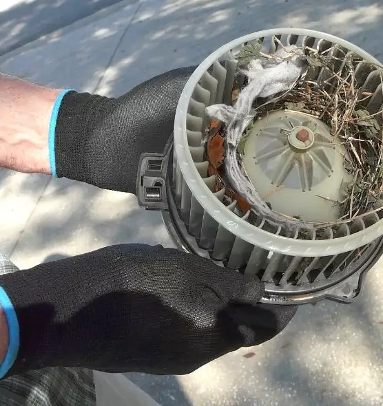 About Air Duct Mice Removal in Mission Bend, TX