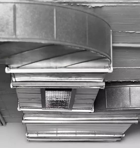 Professional Air Duct Pest Removal in Mission Bend, TX