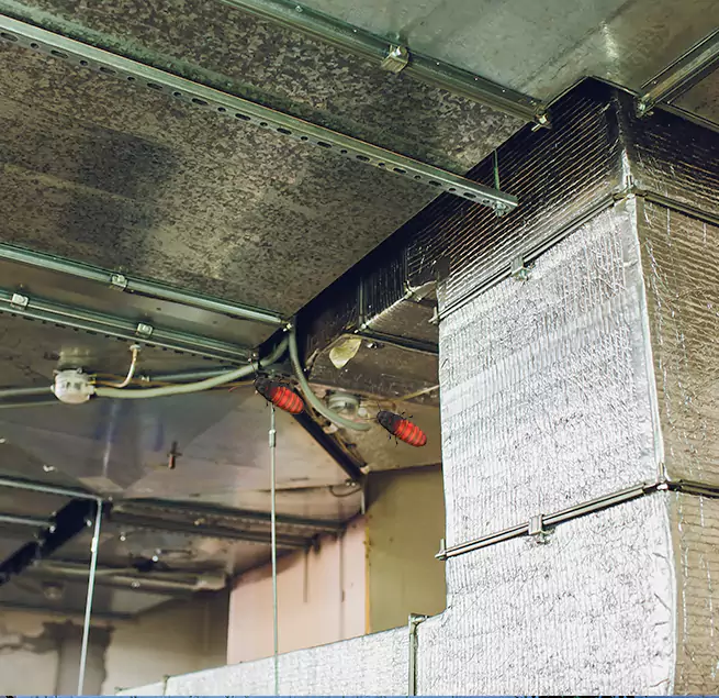 Why Homeowners & Businesses Trust Us in Mission Bend, TX?