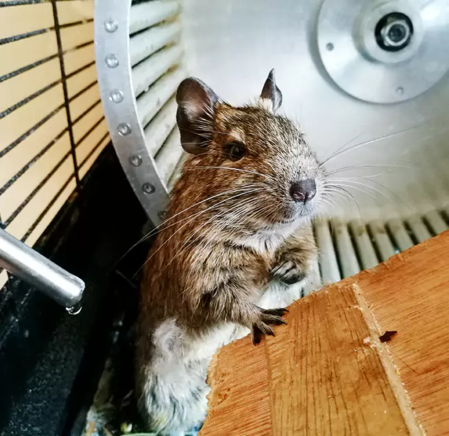 Why Homeowners & Businesses Trust Us Mission Bend, TX