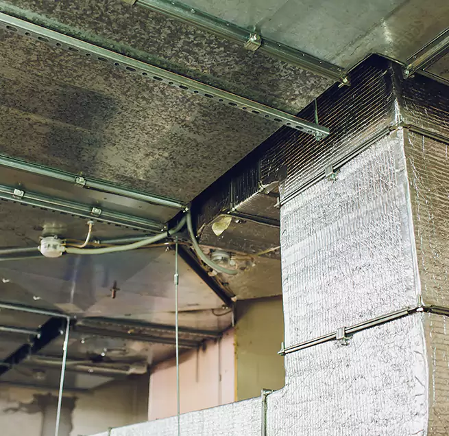 Why Homeowners & Businesses Trust Us in Mission Bend, TX?